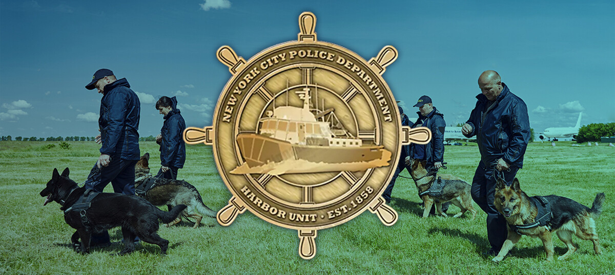 Collection of NYPD challenge coin designs