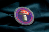Custom Mushroom Funny Meme Challenge Coin