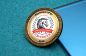 Custom Orlando Mavericks Challenge Coin